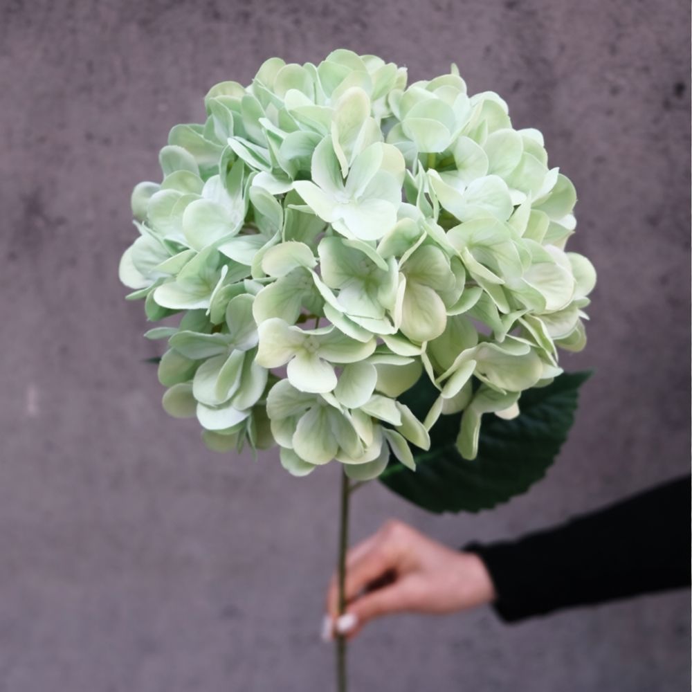 Flores de hortênsia de seda de - Home Office Backdrop avaliação e preço